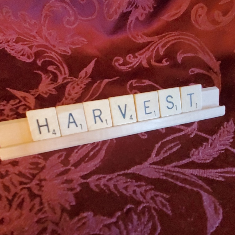 Handcrafted "Harvest" Scrabble sign